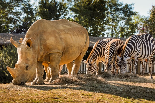 parc animalier nantes