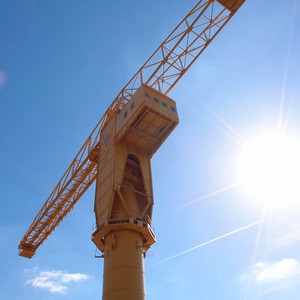 grue jaune nantes