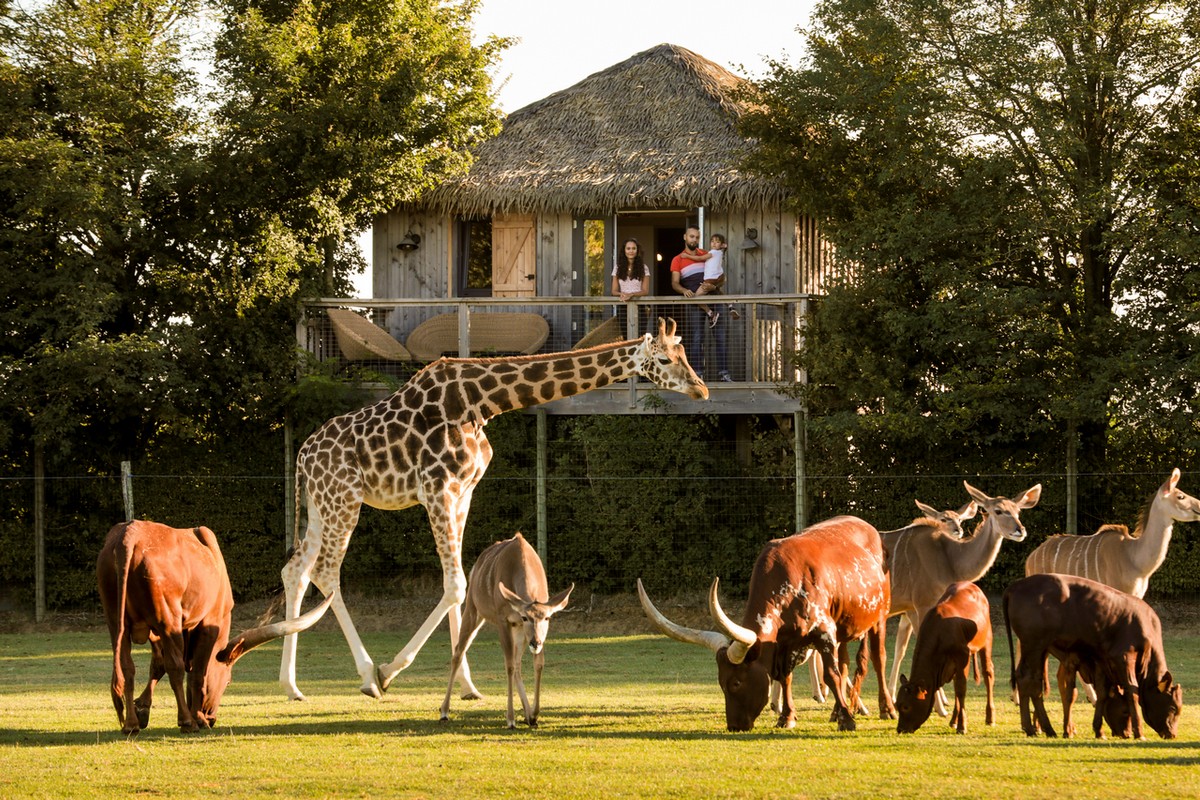 zoo boissiere du dore nantes