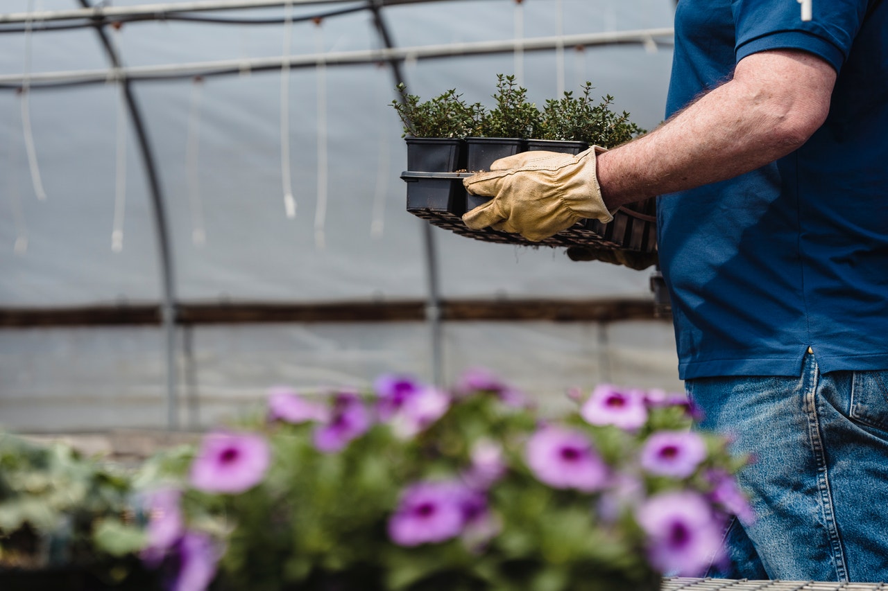 la folie des plantes nantes 2021